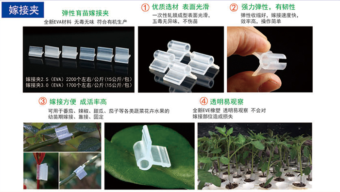 2019信農畫冊40 副本.jpg