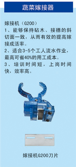 2019信農(nóng)畫冊(cè)40 副本.jpg