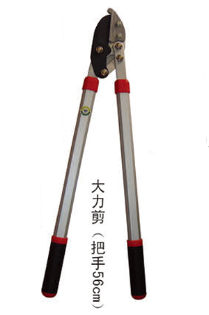 2019信農(nóng)畫冊41 副本.jpg